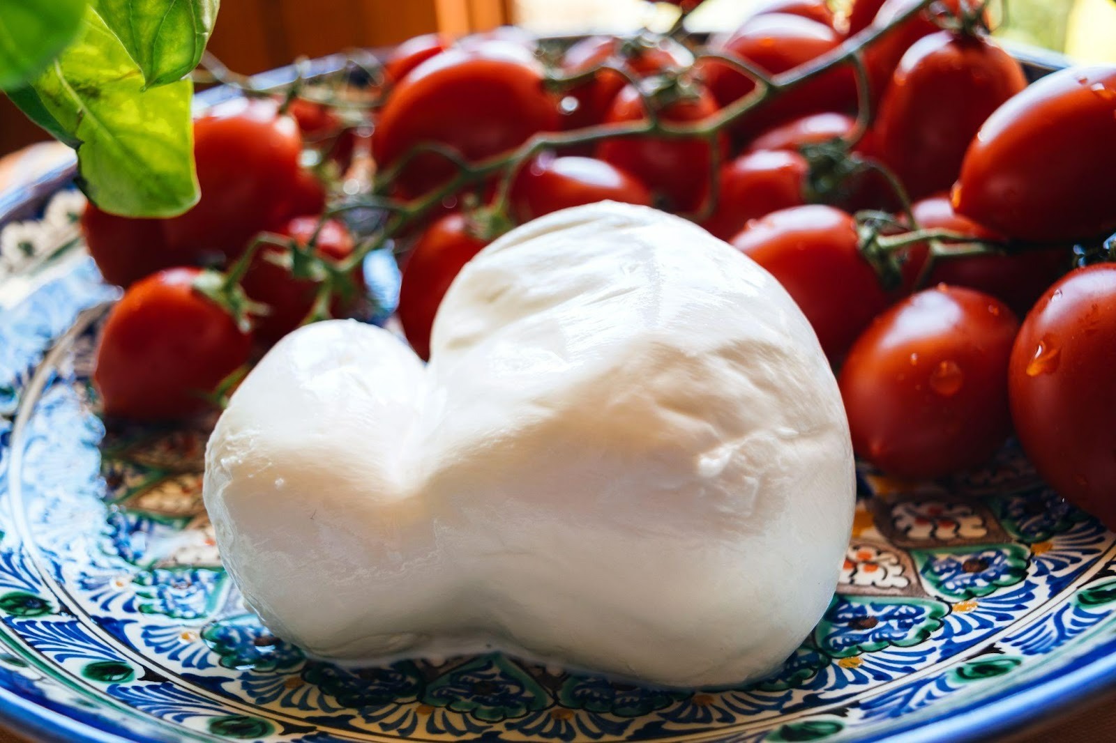 Ovengebakken aubergine met fior di latte