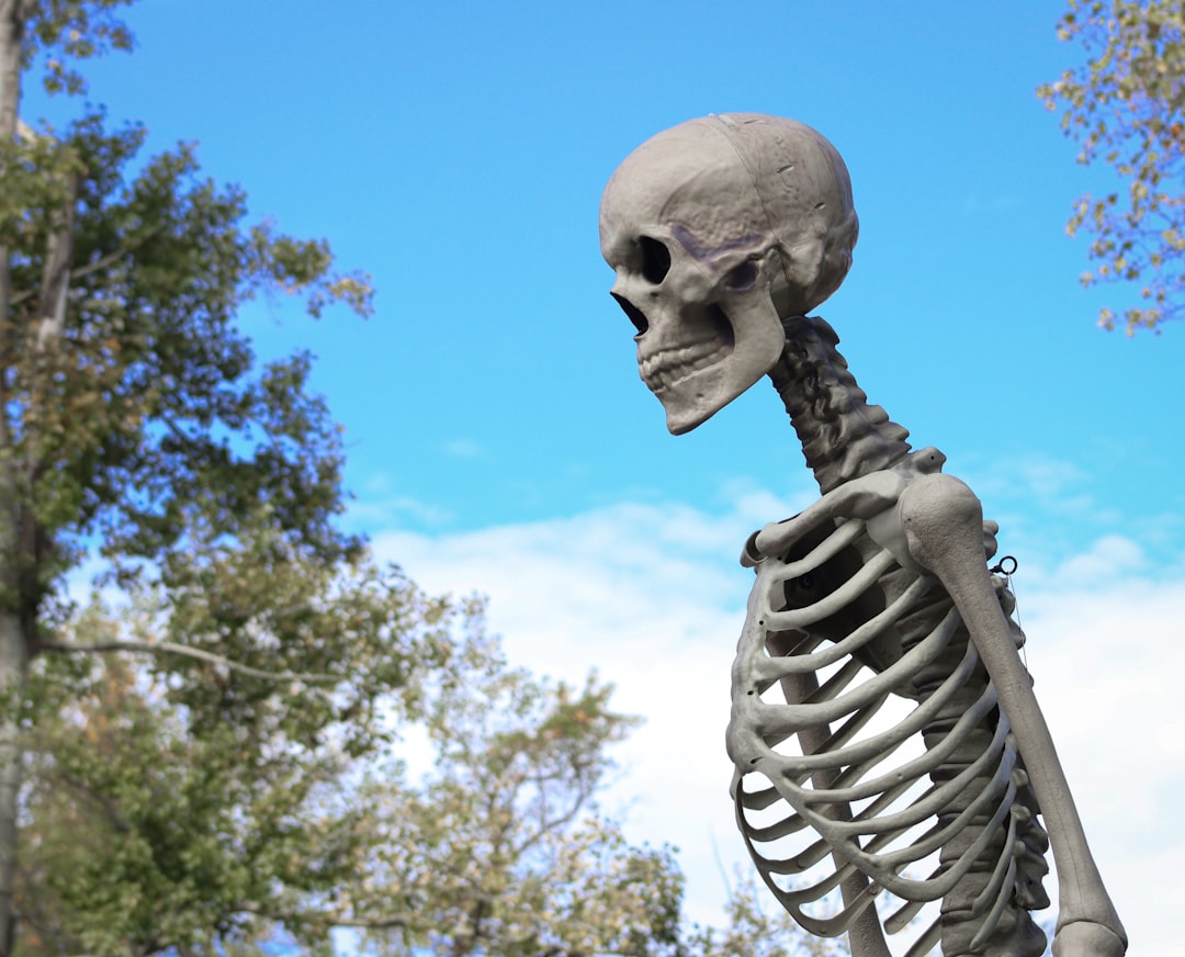 Alles zit ergens: wat anatomie ons vertelt over ons eigen lichaam